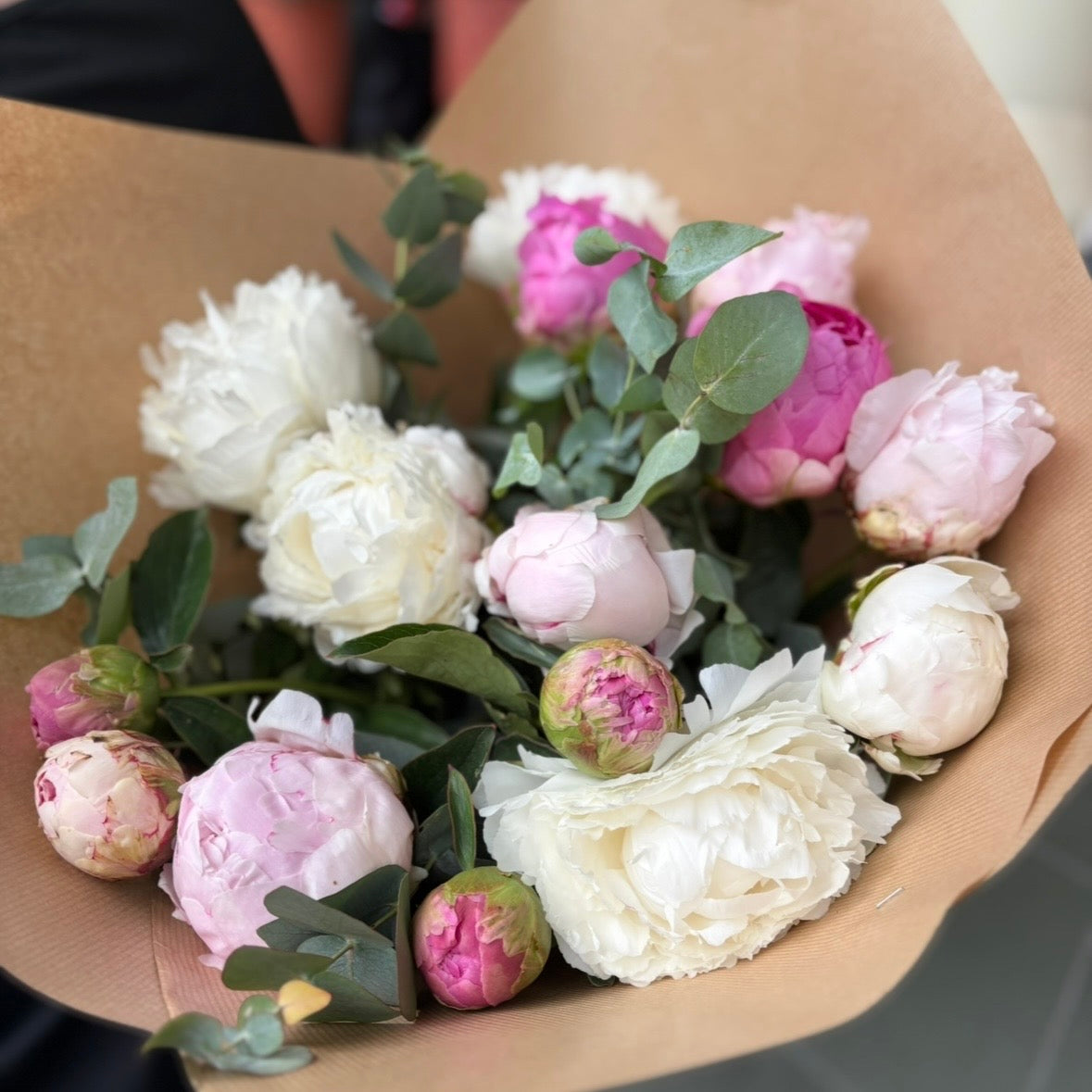 Pivoines