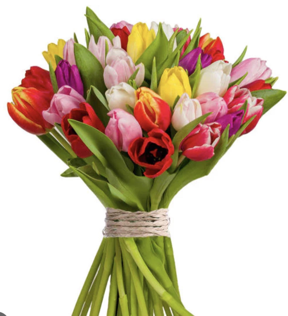 Saison- Bouquet de Tulipes